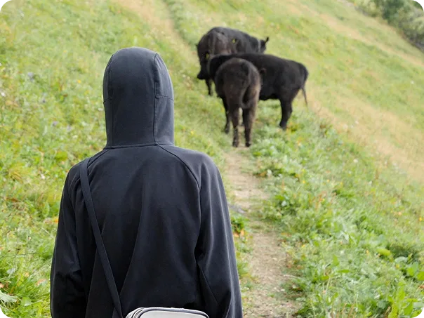 humaneo-chp-image-row